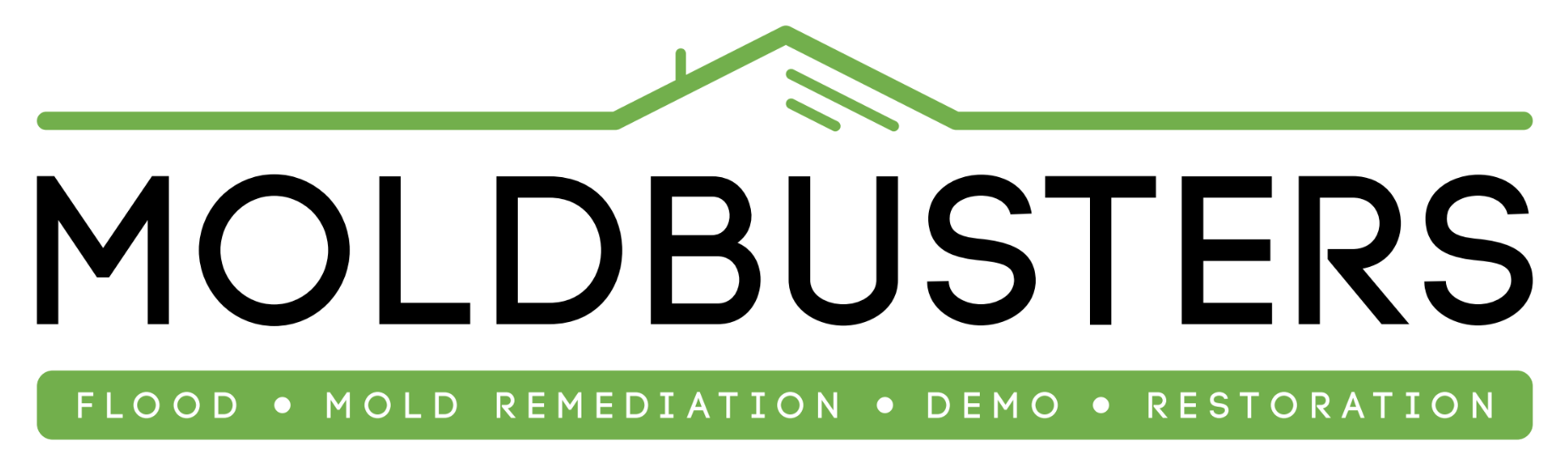 moldbusters-logo-2024